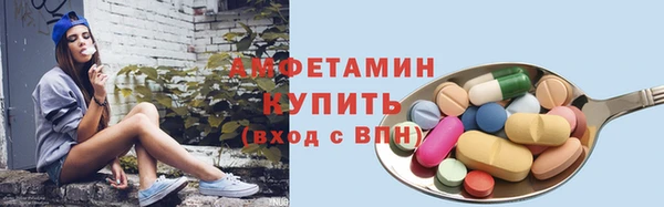 прущие грибы Гусь-Хрустальный