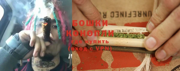 ешки Дмитриев