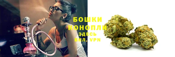 ешки Дмитриев