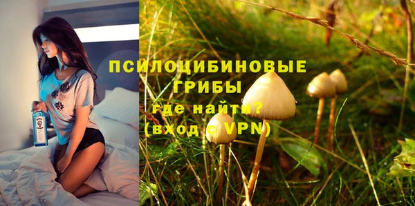 ешки Дмитриев
