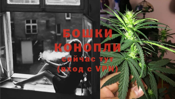 твердый Дмитров