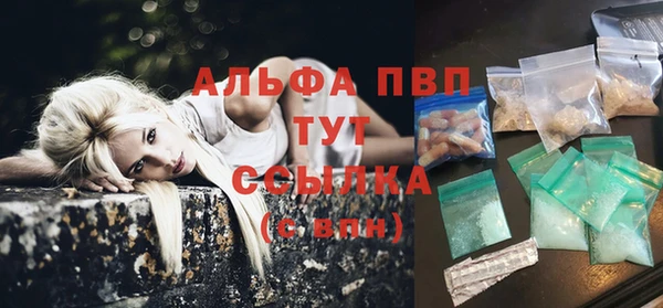 твердый Дмитров